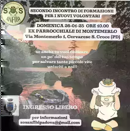 Incontro di Formazione Associazione SOS Anfibi
